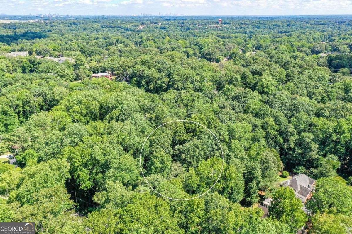 852 Hickory Drive Marietta - 3