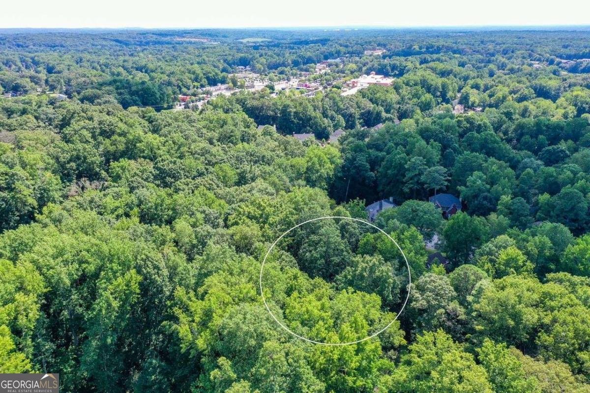 852 Hickory Drive Marietta - 4