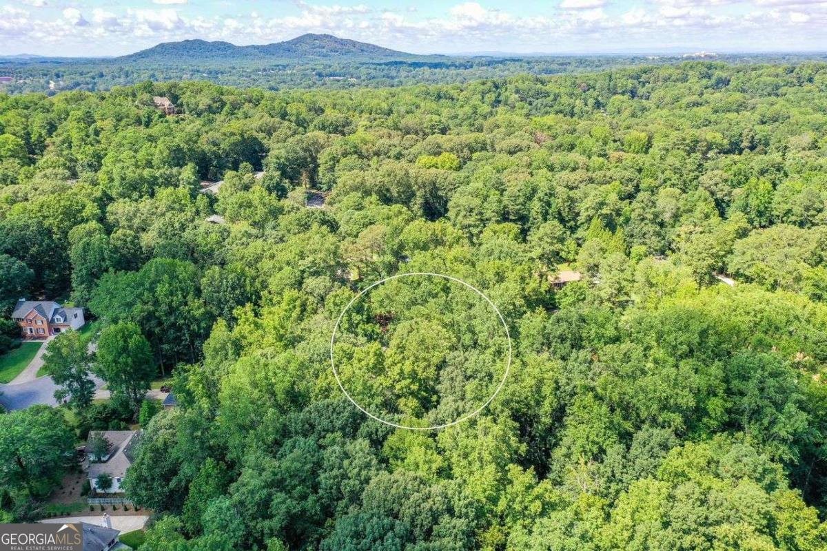 852 Hickory Drive Marietta - 5