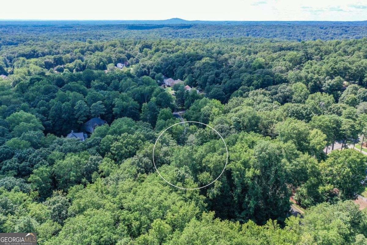 852 Hickory Drive Marietta - 6