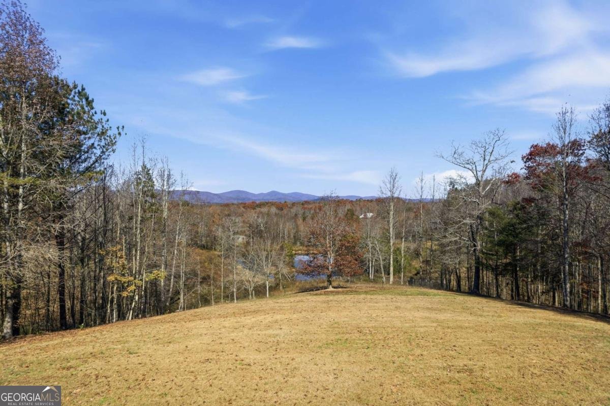 116 Lakota Drive Dawsonville - 39