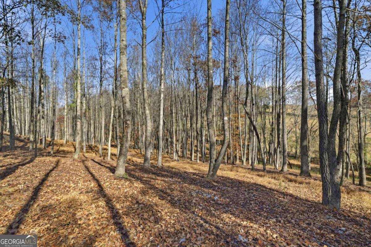 116 Lakota Drive Dawsonville - 82