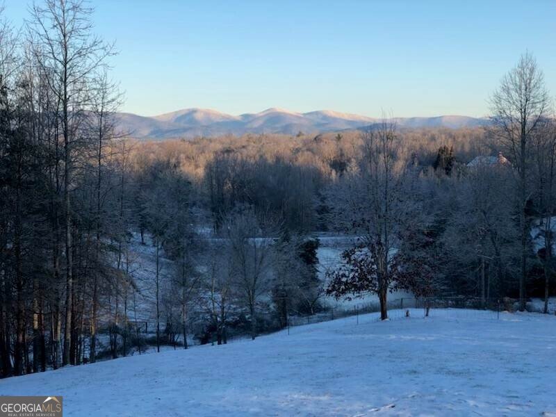 116 Lakota Drive Dawsonville - 94