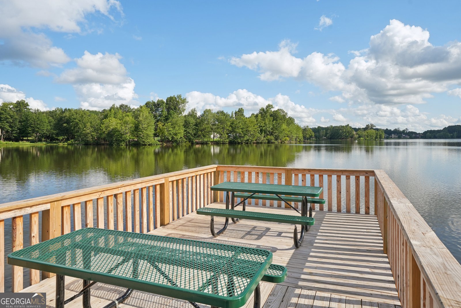 3 Briar Grove Newnan - 1