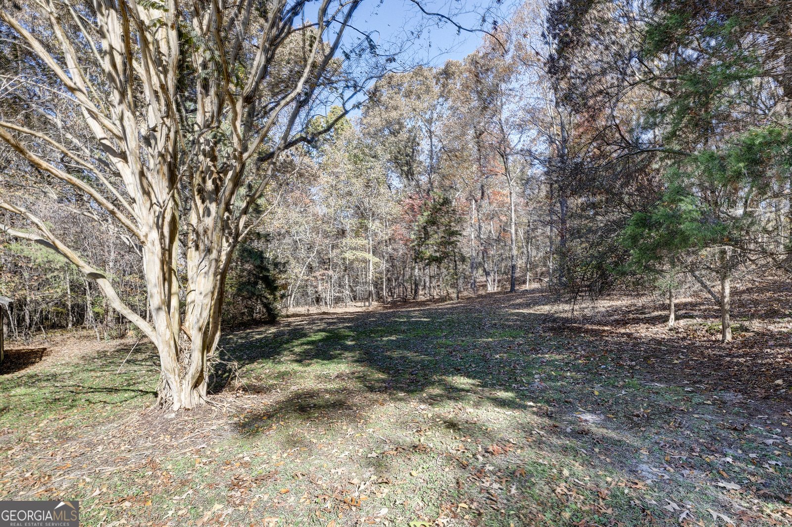 390 Foster Lusk Road Calhoun - 38