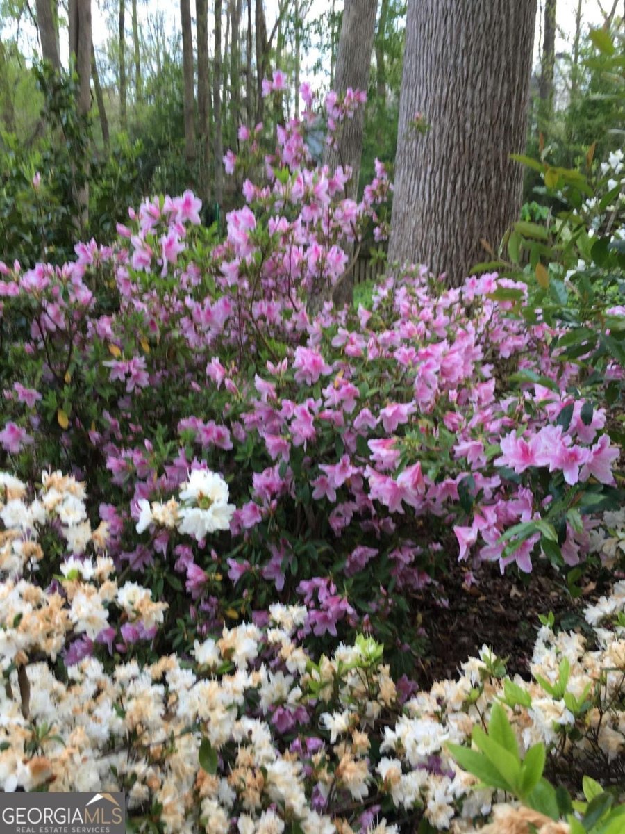 1935 Shrader Court Lawrenceville - 31