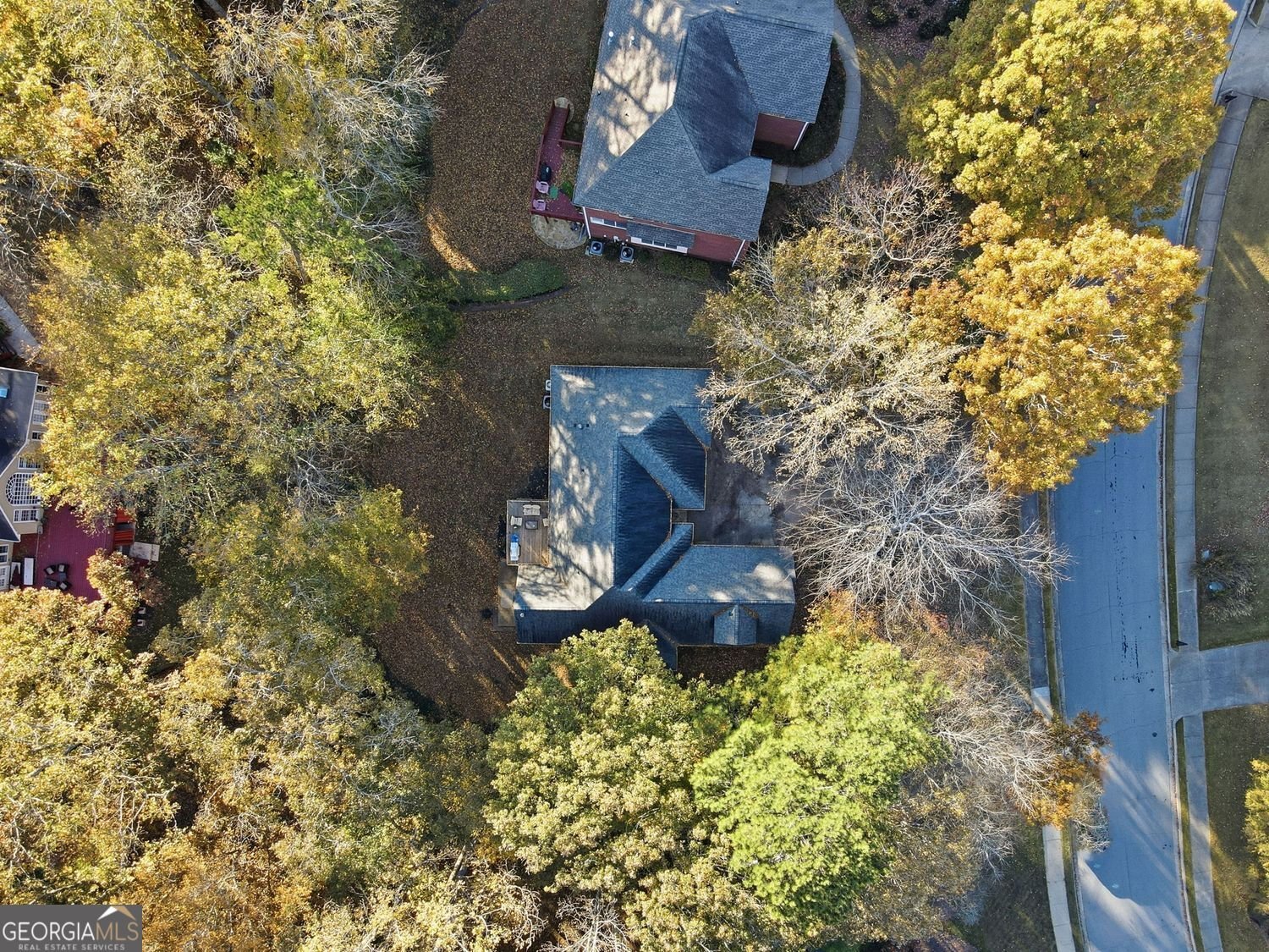 1065 Laurian Park Drive Roswell - 60