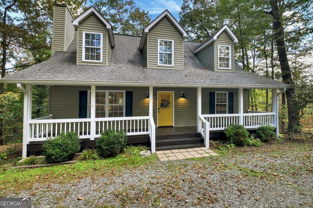 201 Minnehaha Trail Blue Ridge - main photo