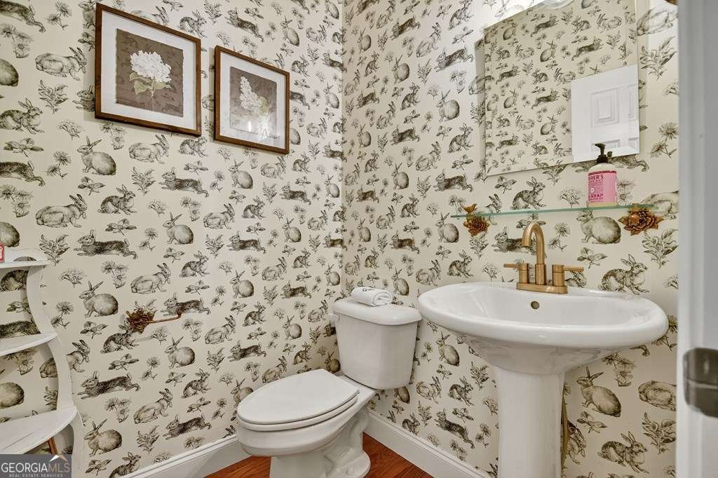 201 Minnehaha Trail Blue Ridge - 11