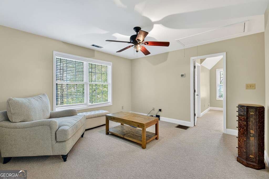 201 Minnehaha Trail Blue Ridge - 15