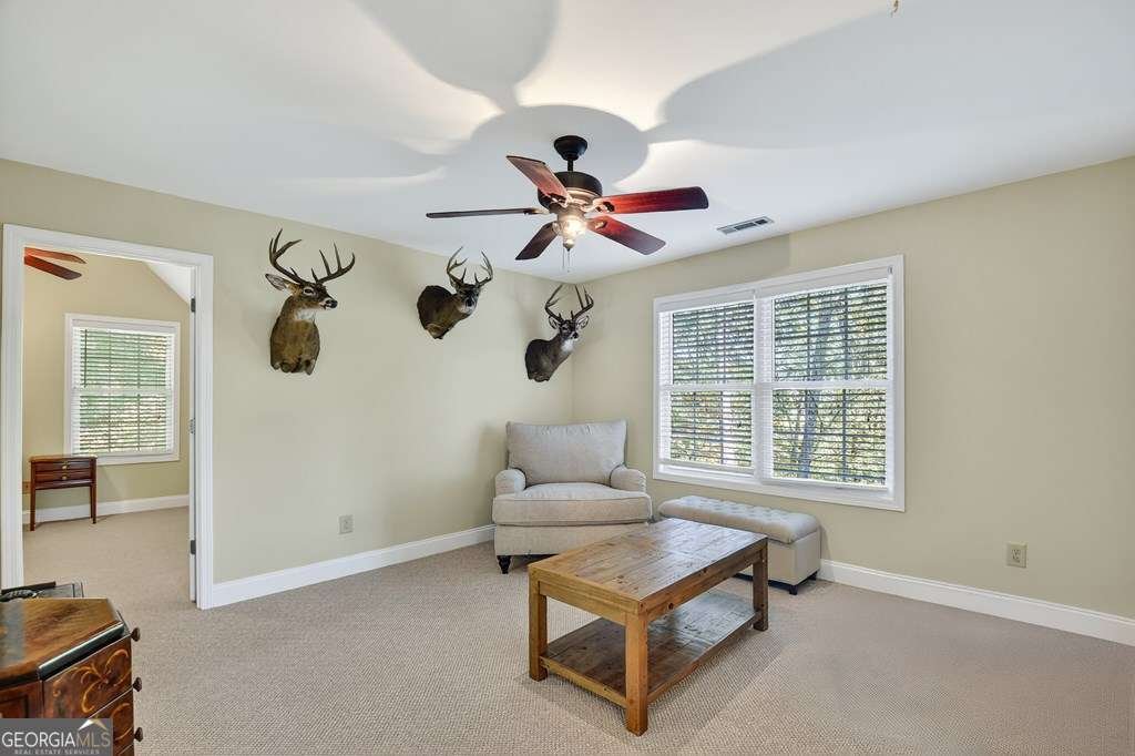 201 Minnehaha Trail Blue Ridge - 17