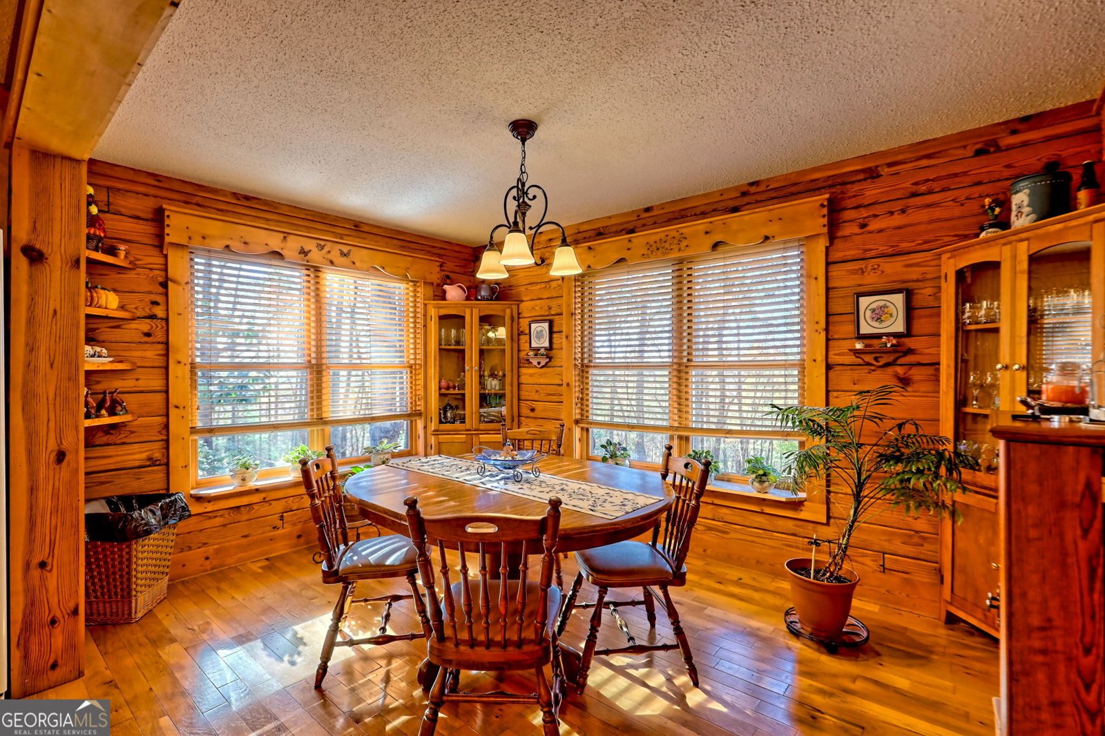 1556 Long Laurel Ridge Drive Lakemont - 19