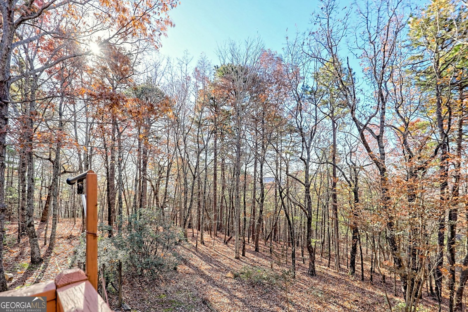 1556 Long Laurel Ridge Drive Lakemont - 32