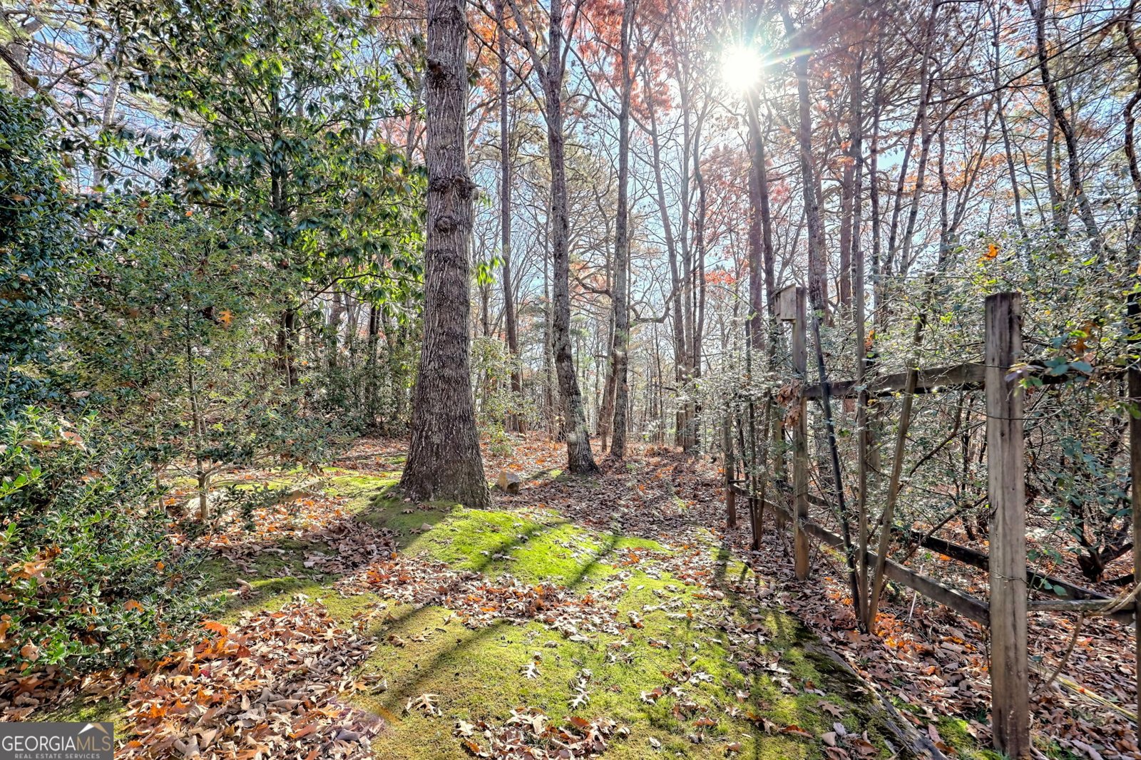 1556 Long Laurel Ridge Drive Lakemont - 61