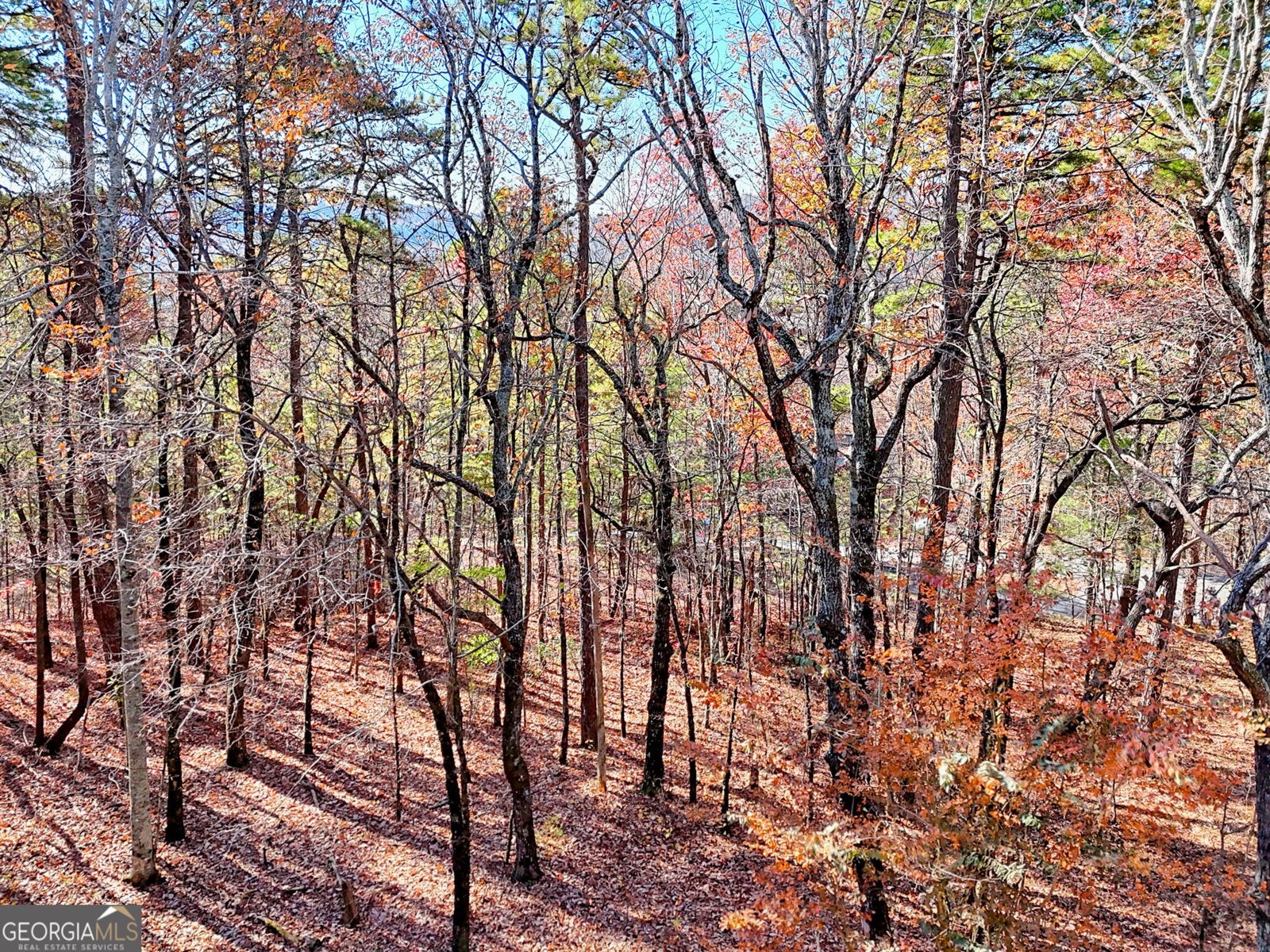 1556 Long Laurel Ridge Drive Lakemont - 74