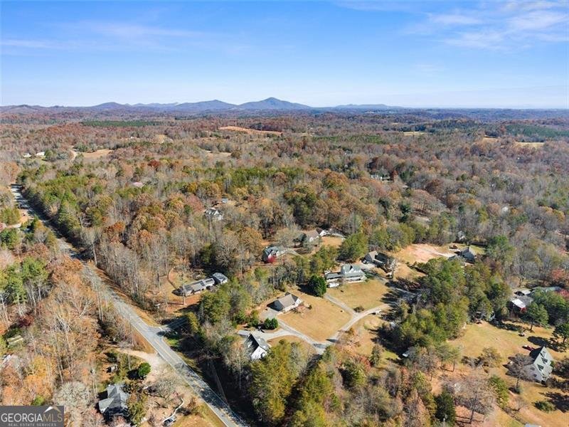 39 East Point Drive Dahlonega - 44