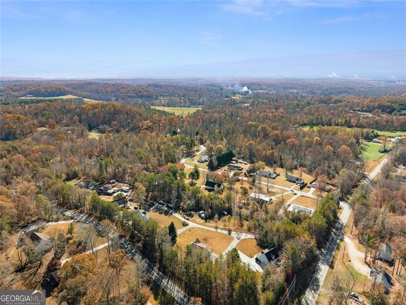 39 East Point Drive Dahlonega - 46