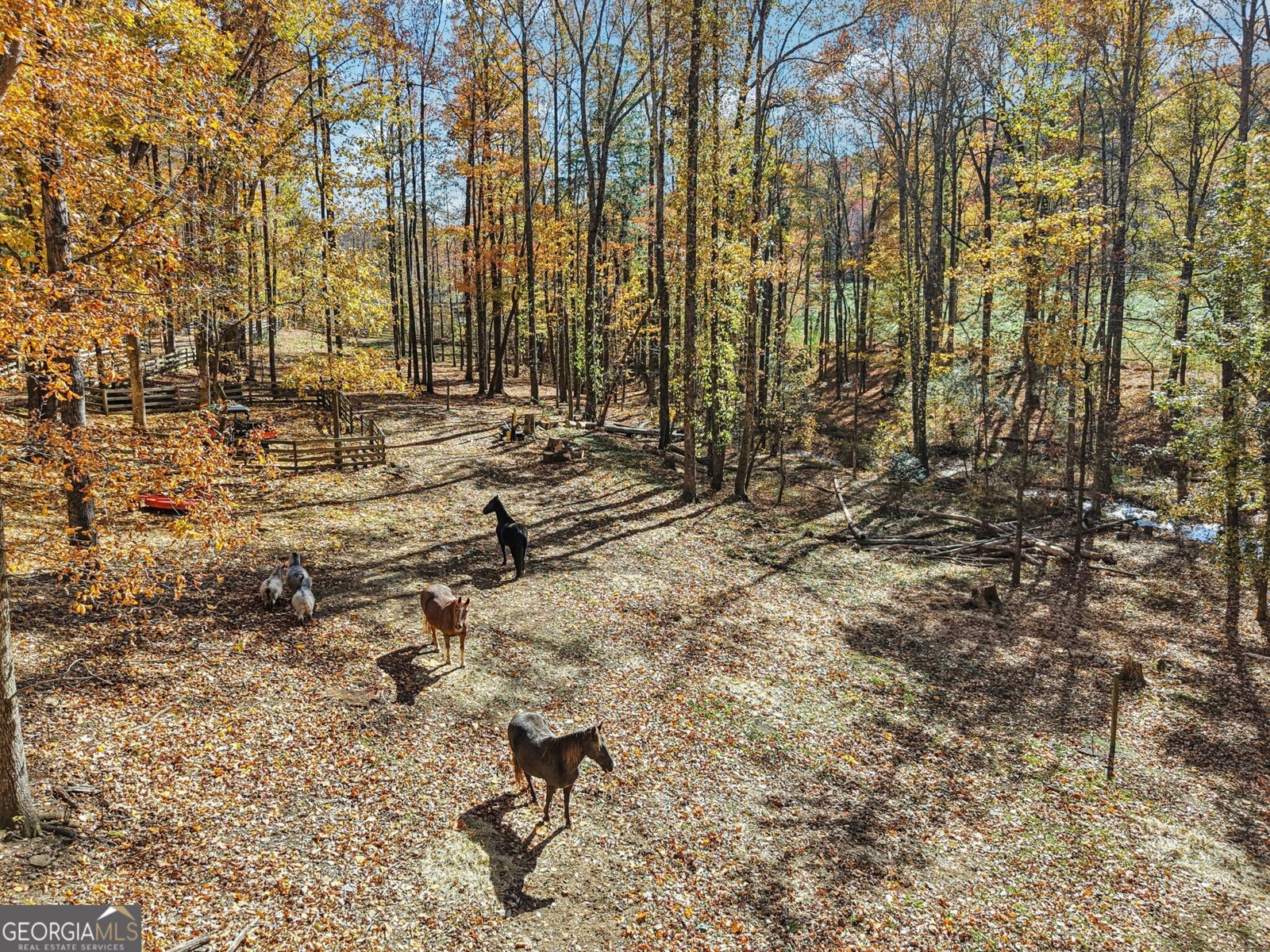 105 Thurmond Walker Road Dahlonega - 10