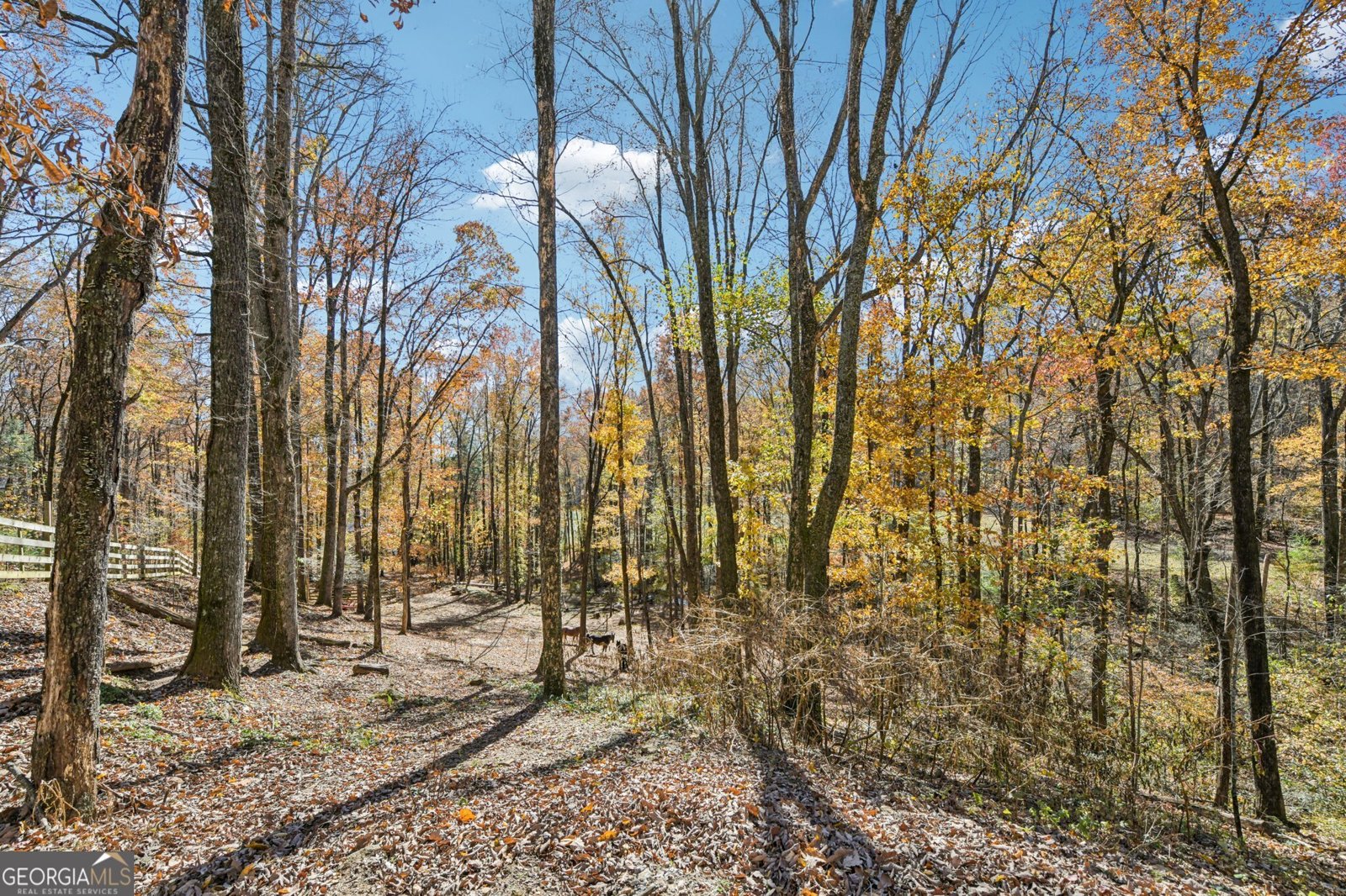 105 Thurmond Walker Road Dahlonega - 80