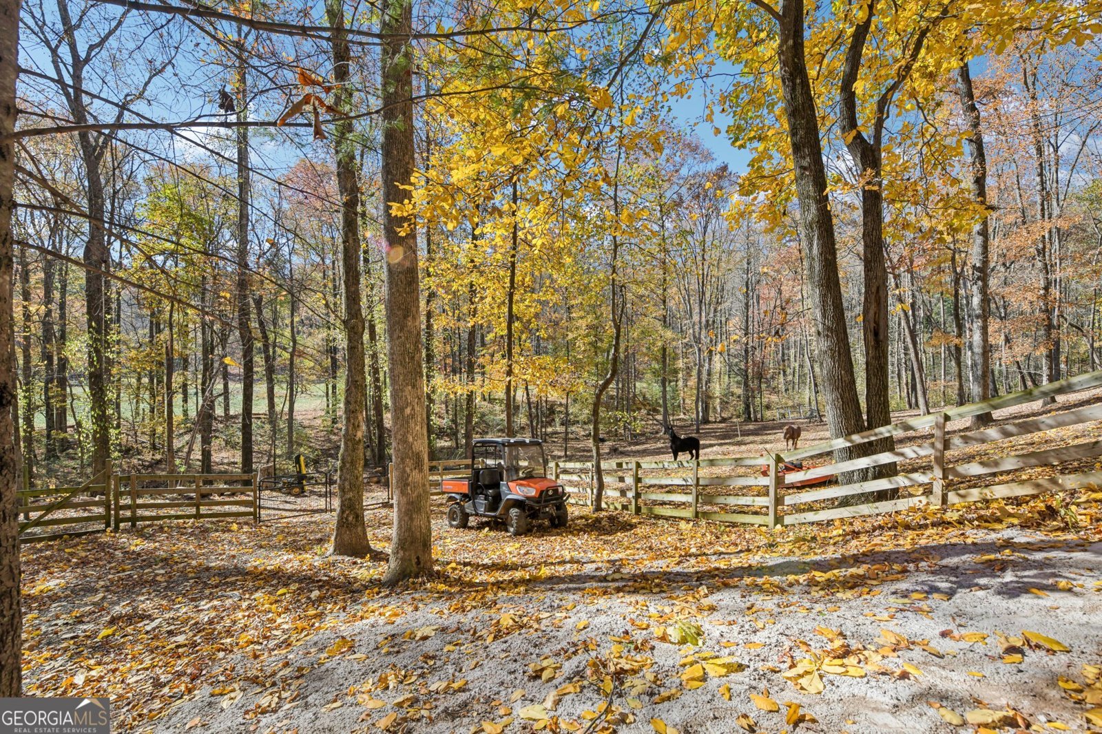 105 Thurmond Walker Road Dahlonega - 81