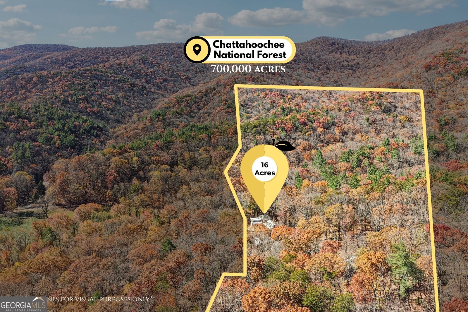 105 Thurmond Walker Road Dahlonega - 91