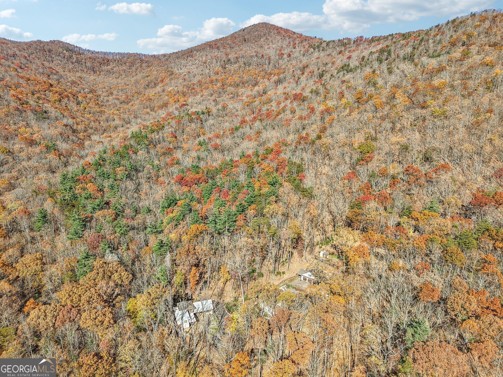 105 Thurmond Walker Road Dahlonega - 93