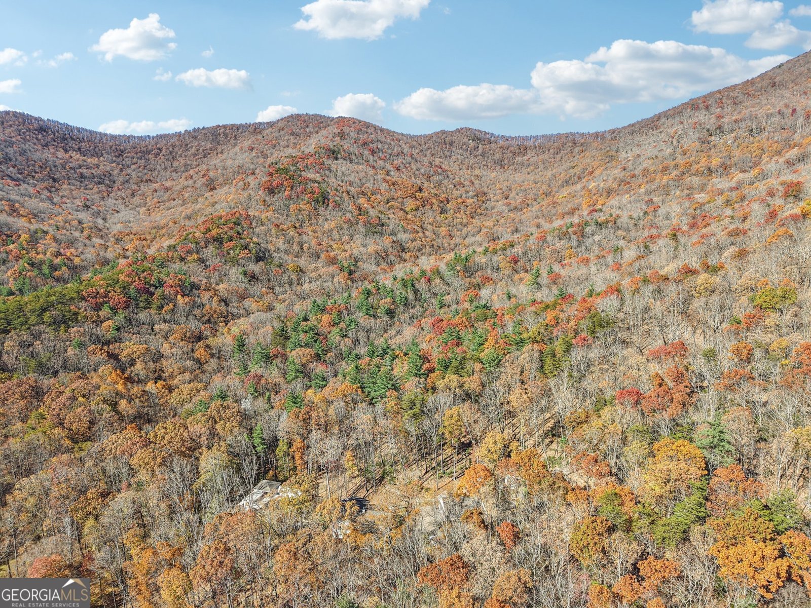 105 Thurmond Walker Road Dahlonega - 94