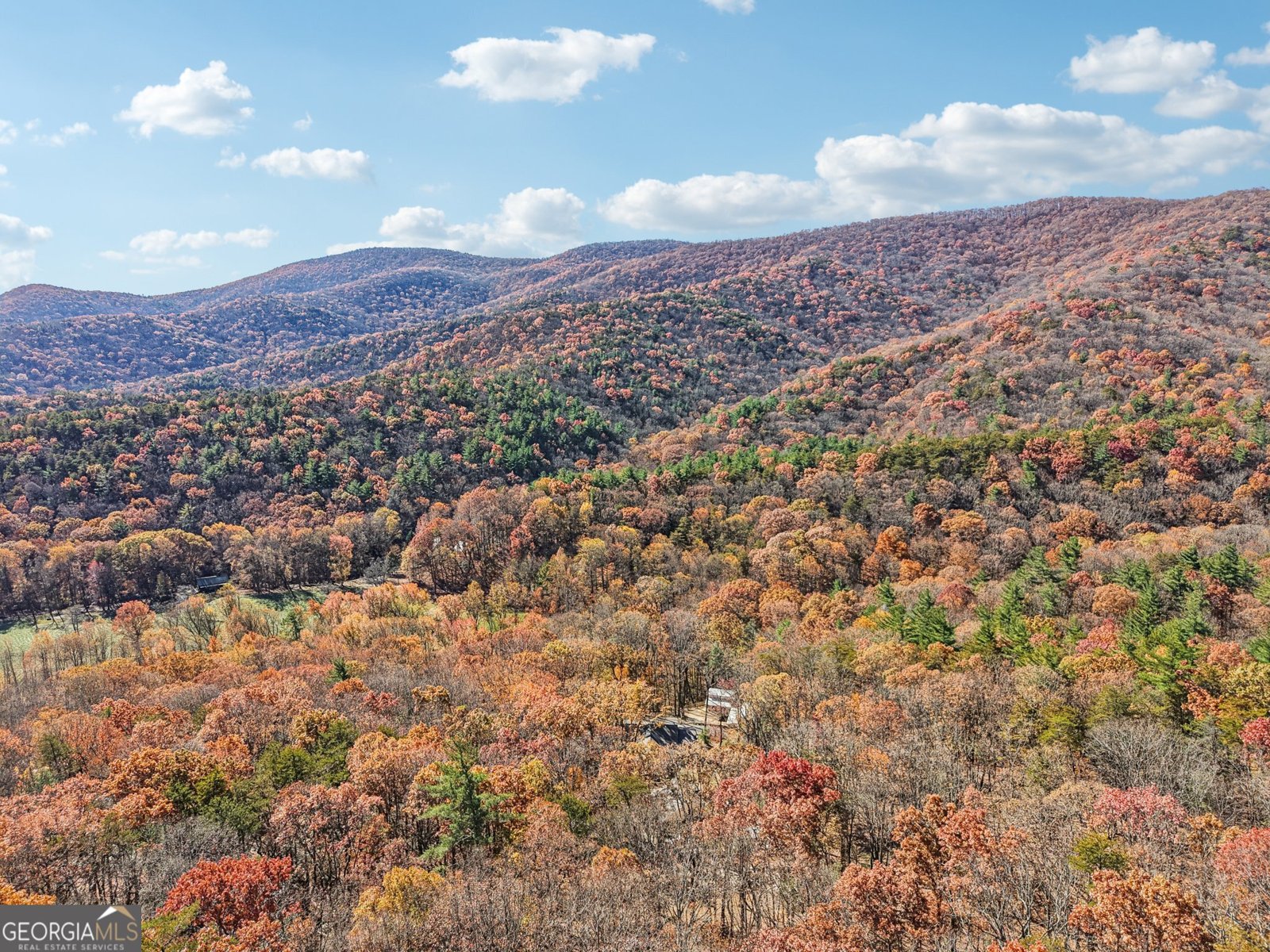 105 Thurmond Walker Road Dahlonega - 95