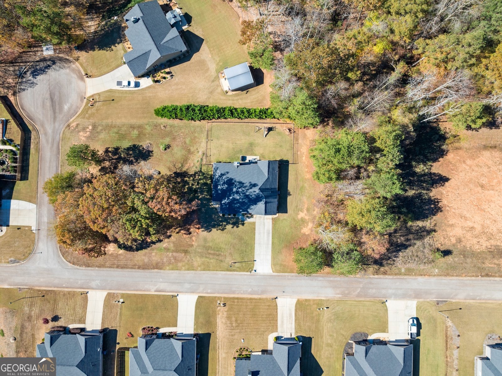 290 Emily Forest Way Pendergrass - 43