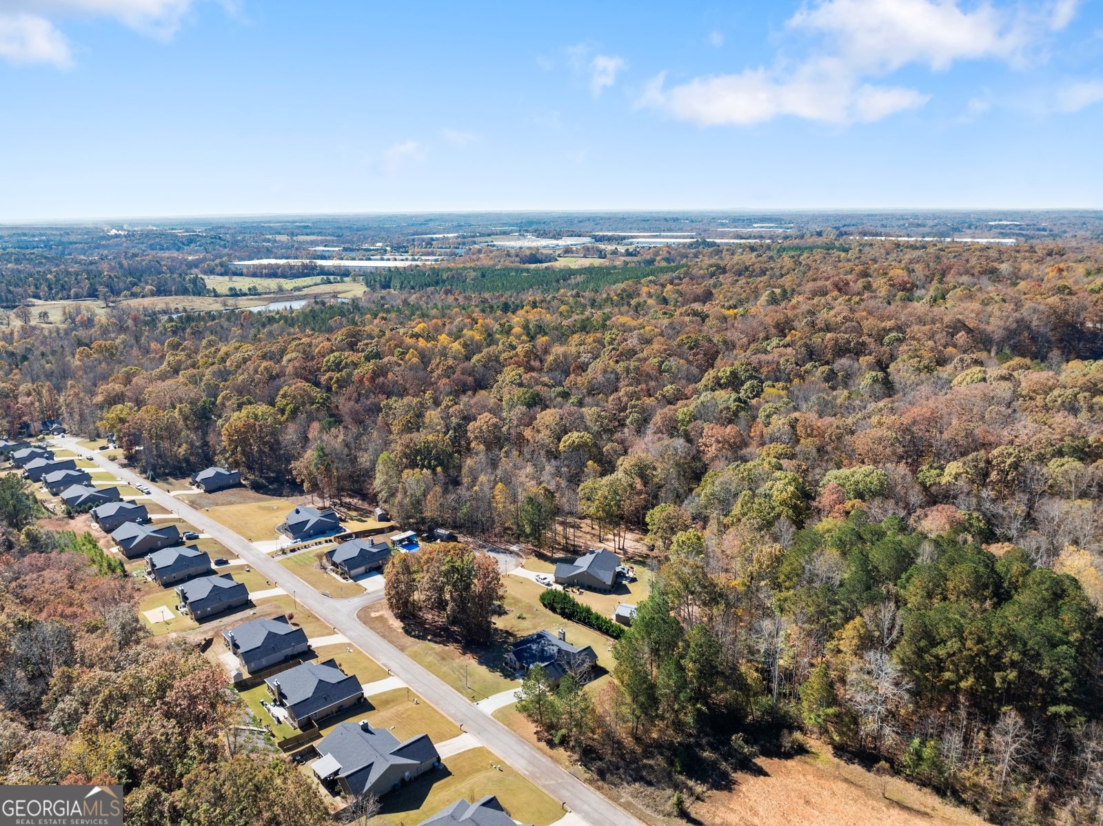 290 Emily Forest Way Pendergrass - 45