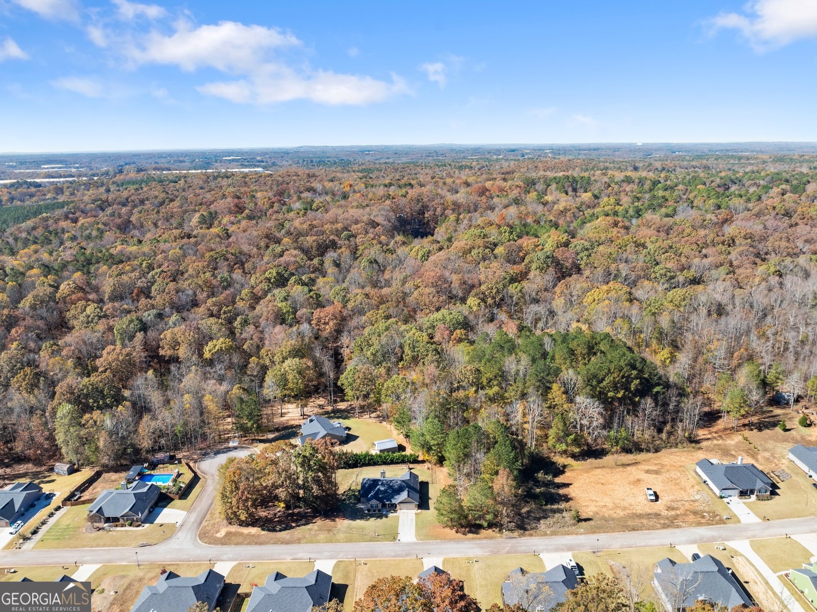 290 Emily Forest Way Pendergrass - 46