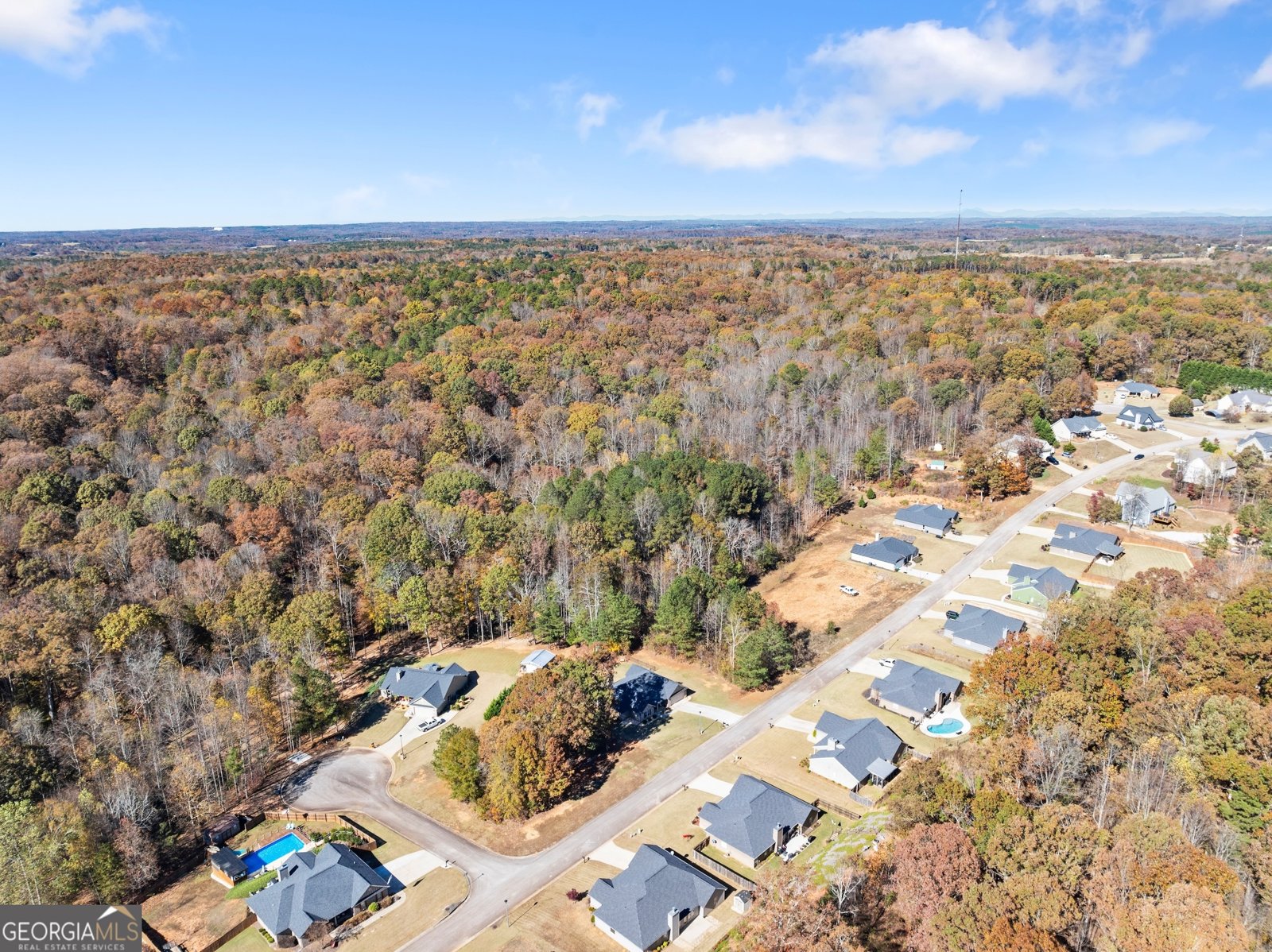 290 Emily Forest Way Pendergrass - 48