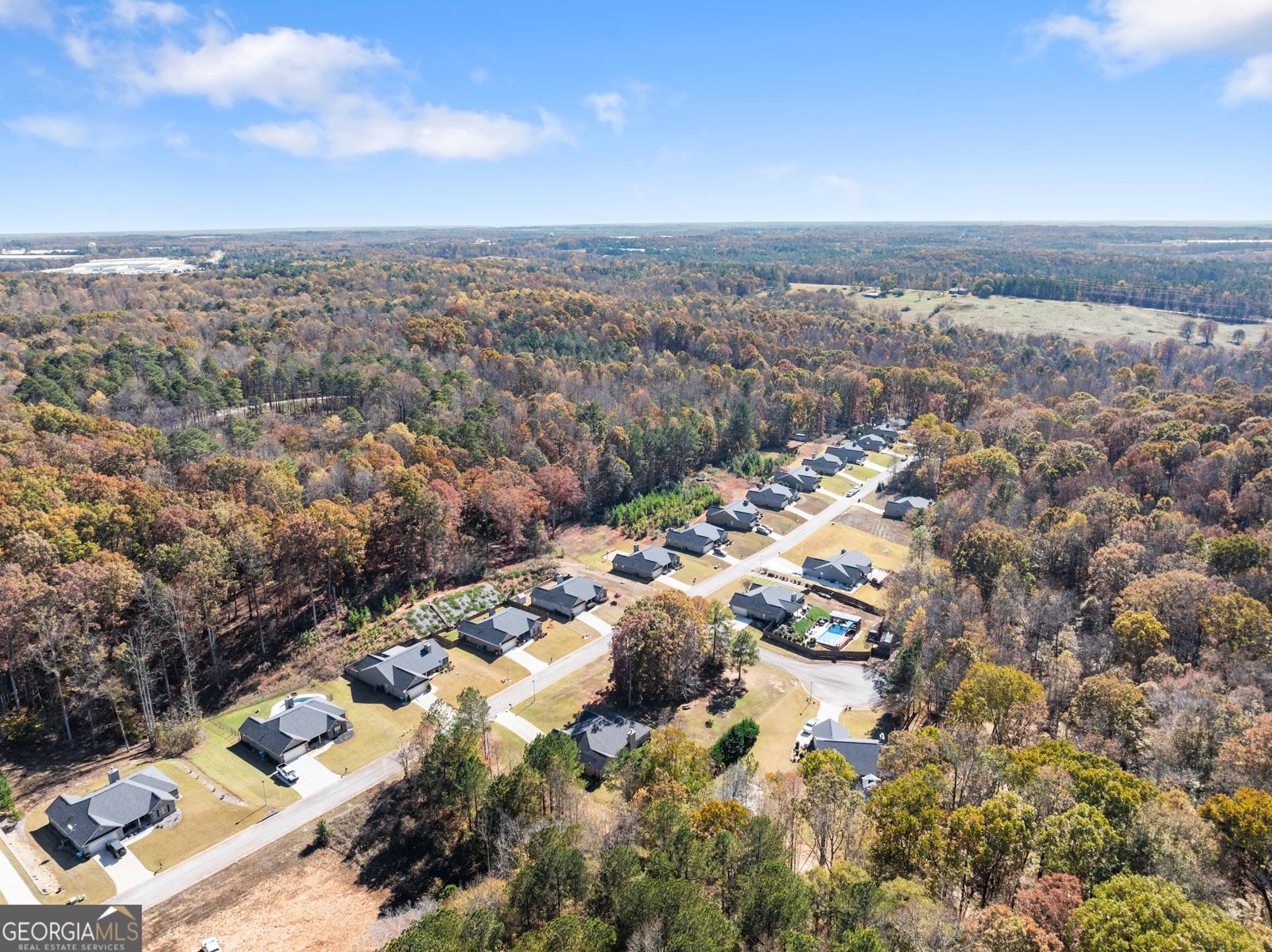 290 Emily Forest Way Pendergrass - 50