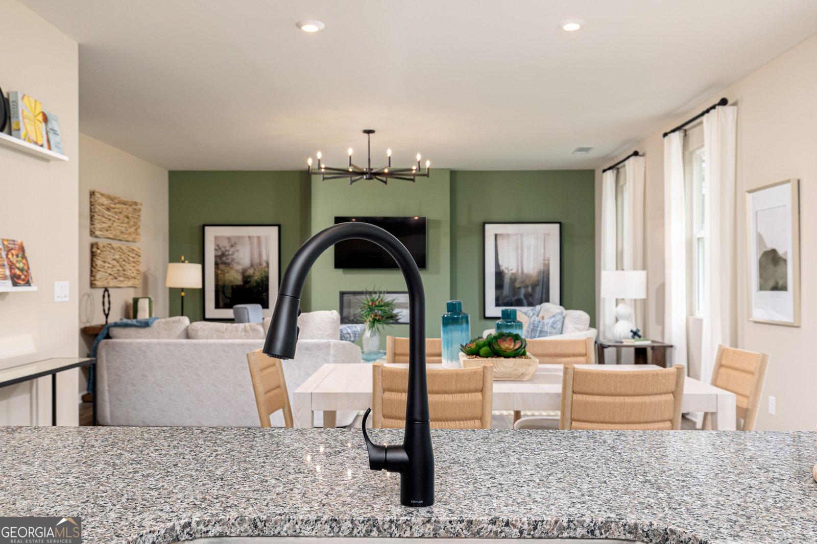 500 Altamaha Court Locust Grove - 13