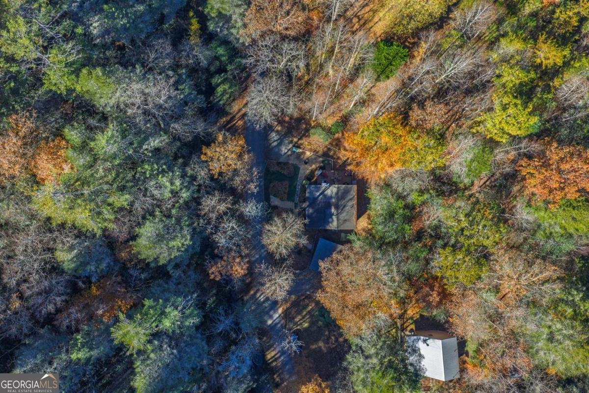 659 Kells Ridge Drive Ellijay - 38