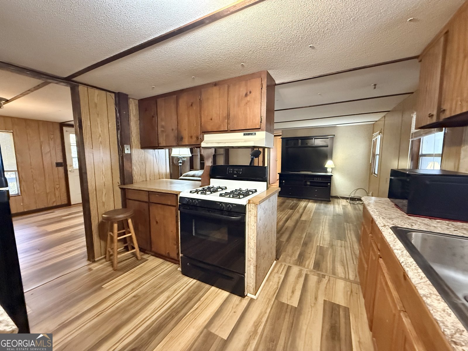 275 Hanson Drive Lagrange - 19