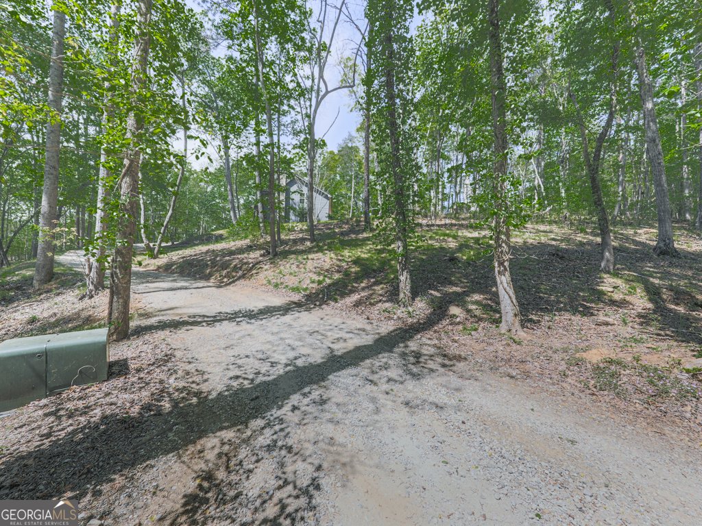 1141 Addington Lane Waleska - 110