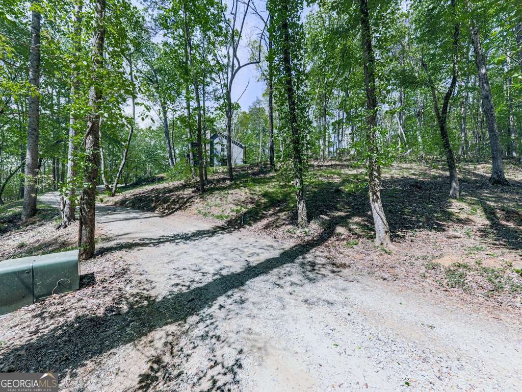 1141 Addington Lane Waleska - 71