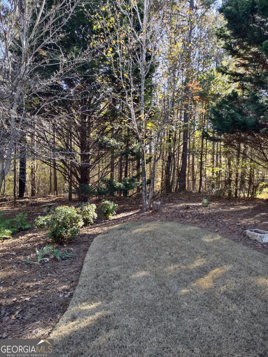 38 Fairview Drive Dallas - 46