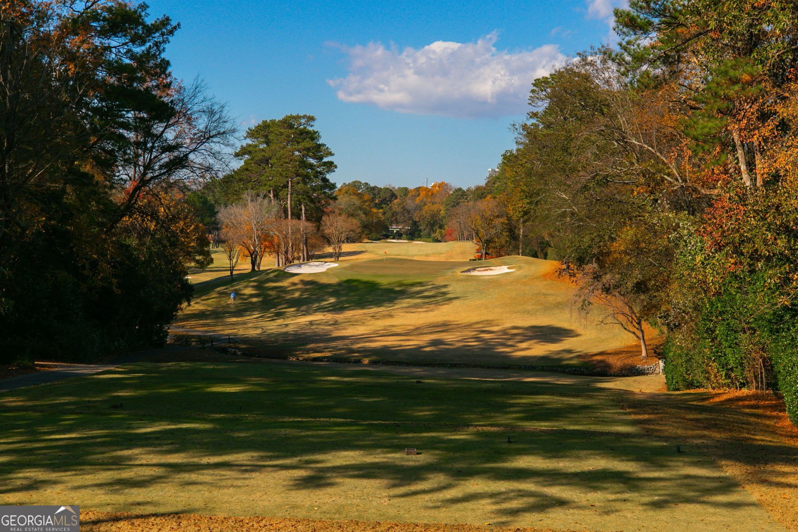 581 Sherwood Road Atlanta - 31