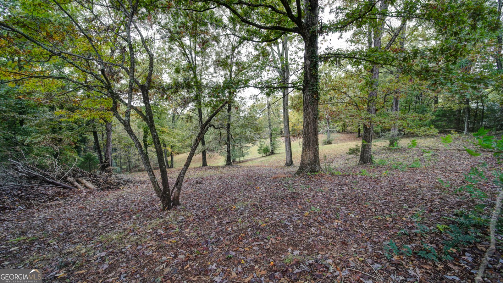 61 Station Gap Dahlonega - 30