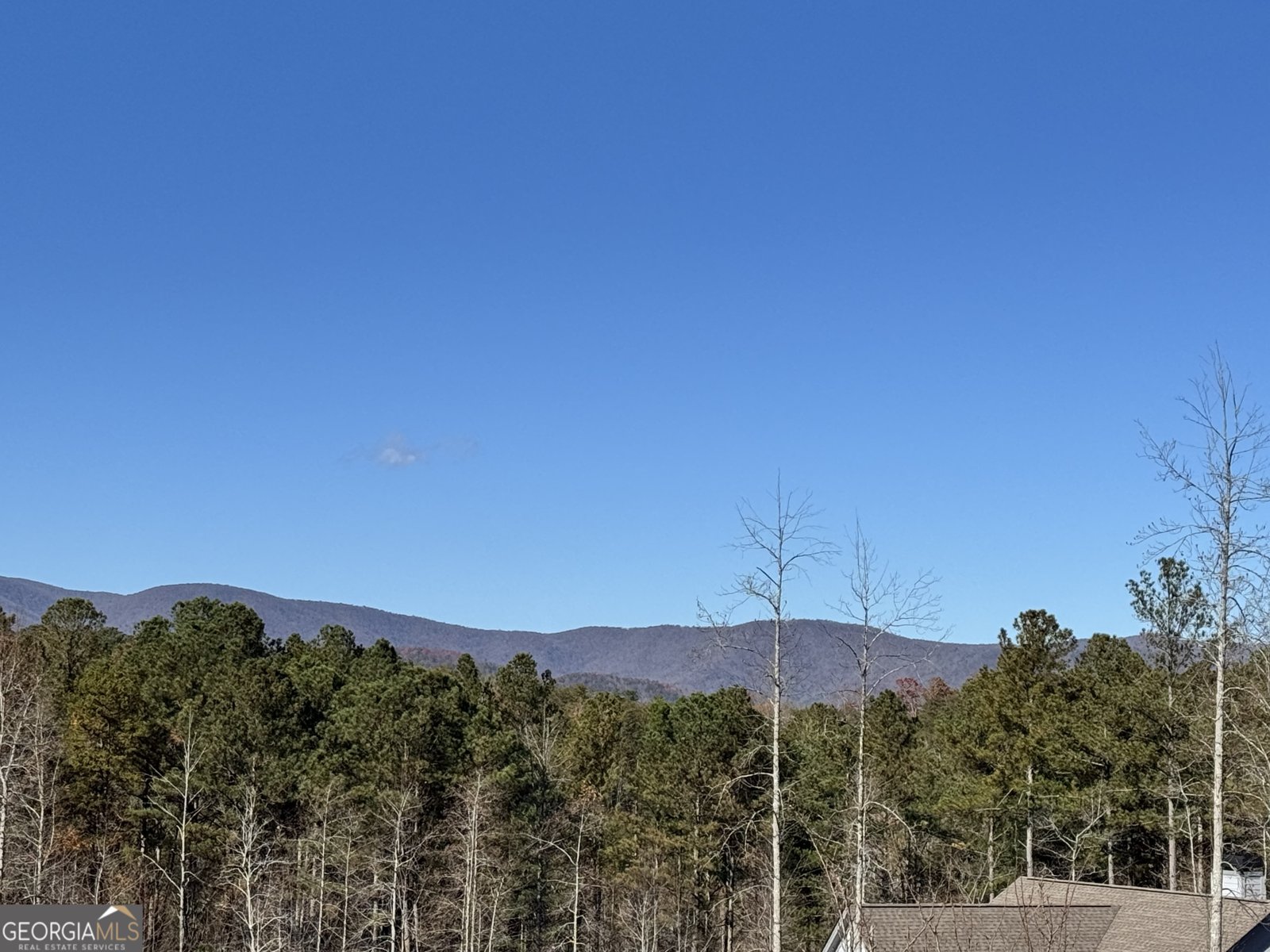 61 Station Gap Dahlonega - 48