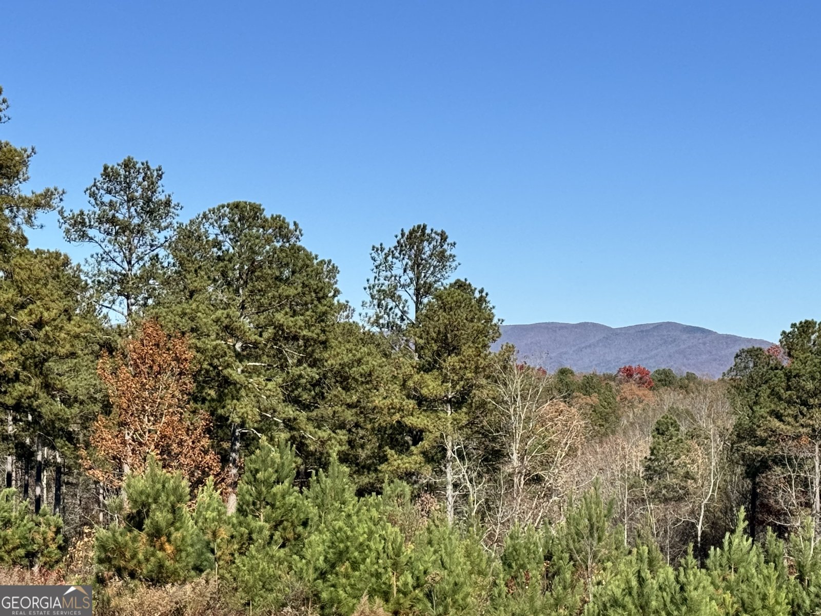 61 Station Gap Dahlonega - 50