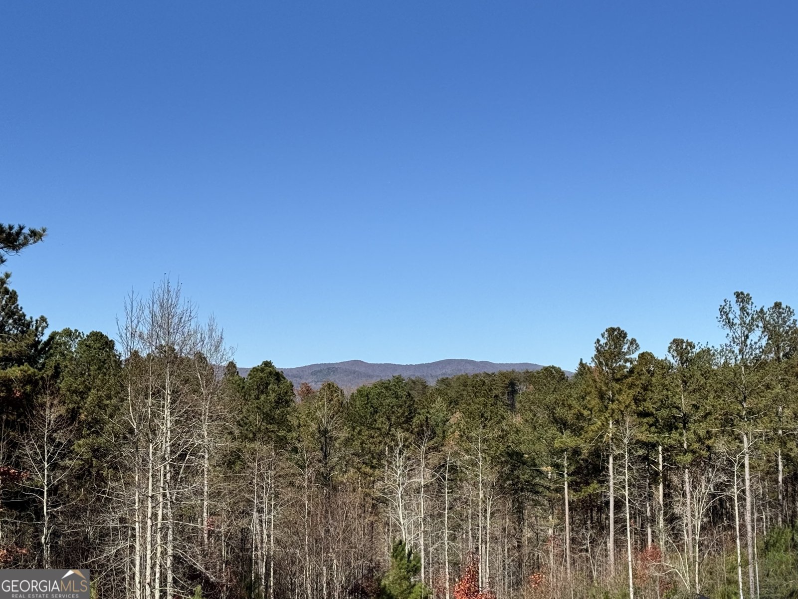 61 Station Gap Dahlonega - 51