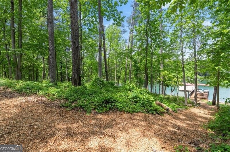 4290 Bobbins Way Cumming - 60