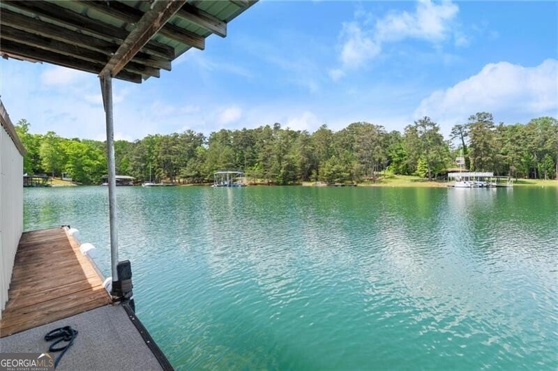 4290 Bobbins Way Cumming - 69