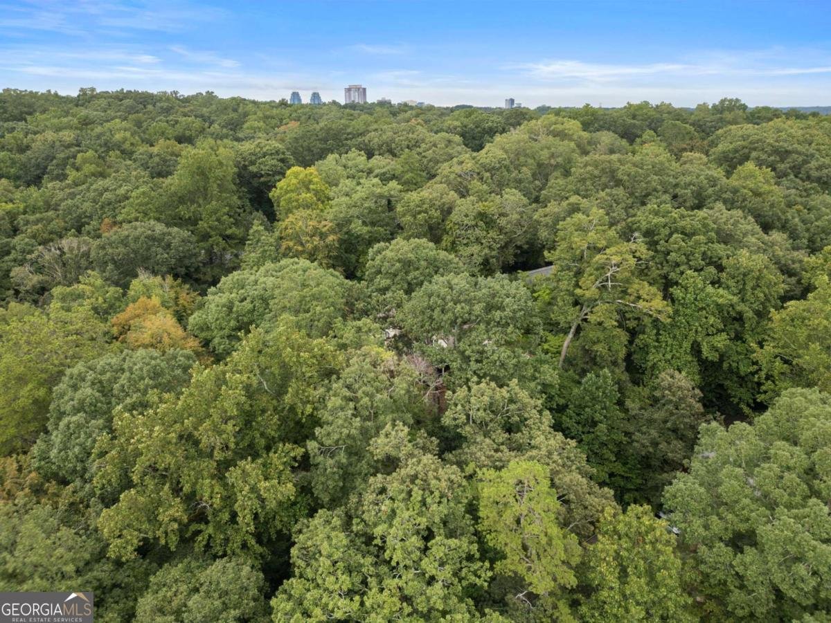 510 Forest Valley Road Sandy Springs - 17