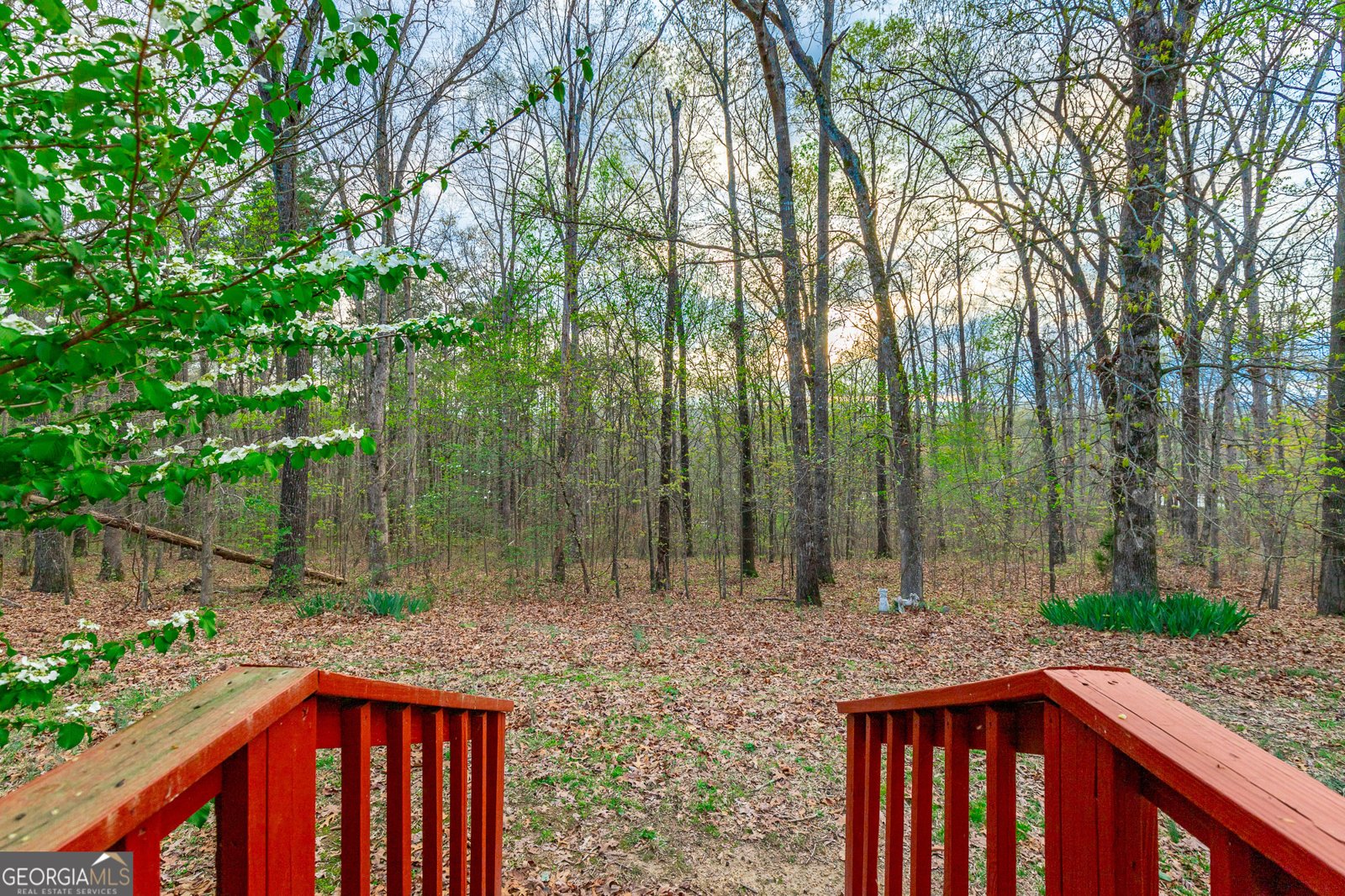 132 Short Hollow Road Trion - 6