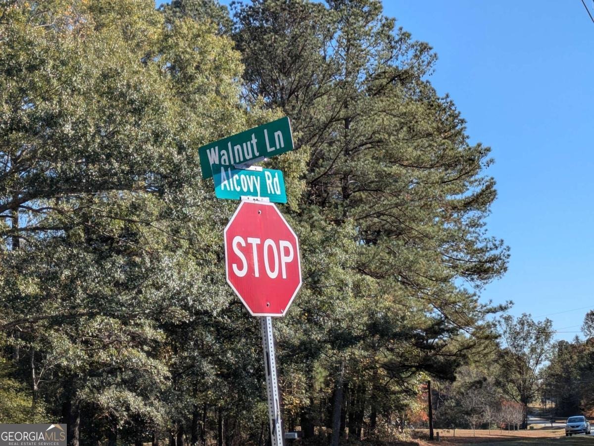 12741 Alcovy Road Covington - 3