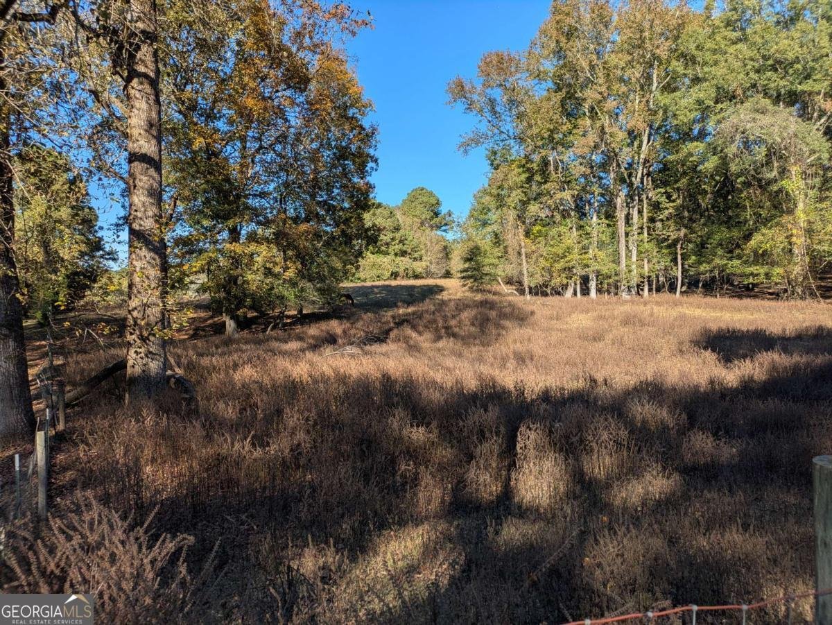 12741 Alcovy Road Covington - 8